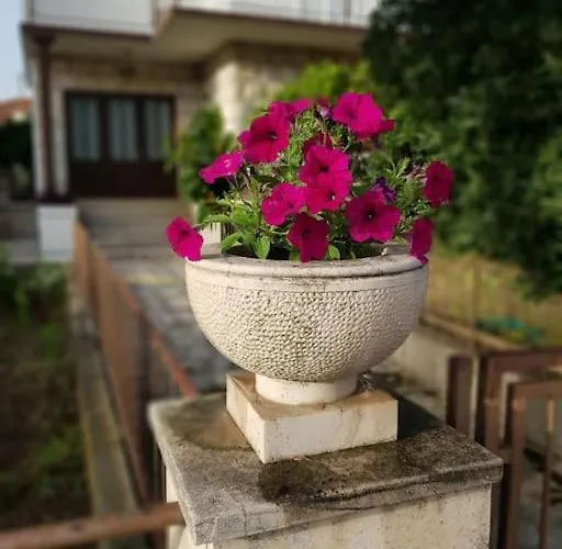 Petar 公寓 *