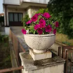 Petar Apartman *
