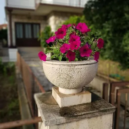 Petar Apartman *